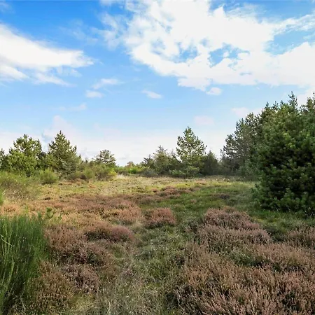 Jb133-fjerritslev-blabaerstien-35 Hébergement de vacances